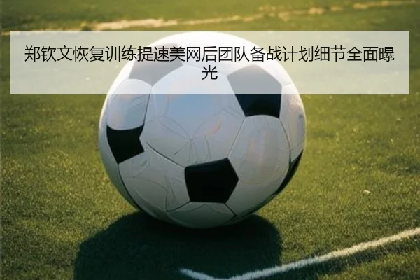 郑钦文恢复训练提速美网后团队备战计划细节全面曝光